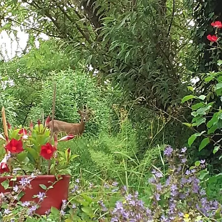D'hotes Le Roussel Le Buisson-de-Cadouin