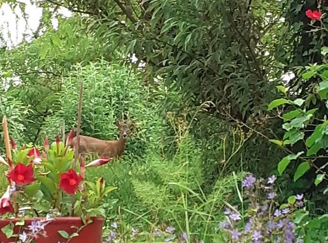D'hotes Le Roussel Le Buisson-de-Cadouin